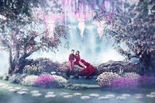 发现冷知识 | 什么牛奶最好 冷知识分享平台